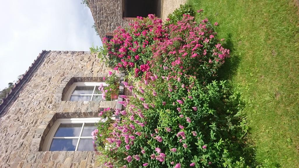 B&B Aux Anges Profondeville Buitenkant foto