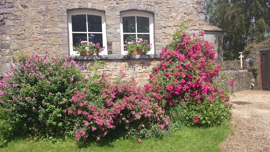 B&B Aux Anges Profondeville Buitenkant foto
